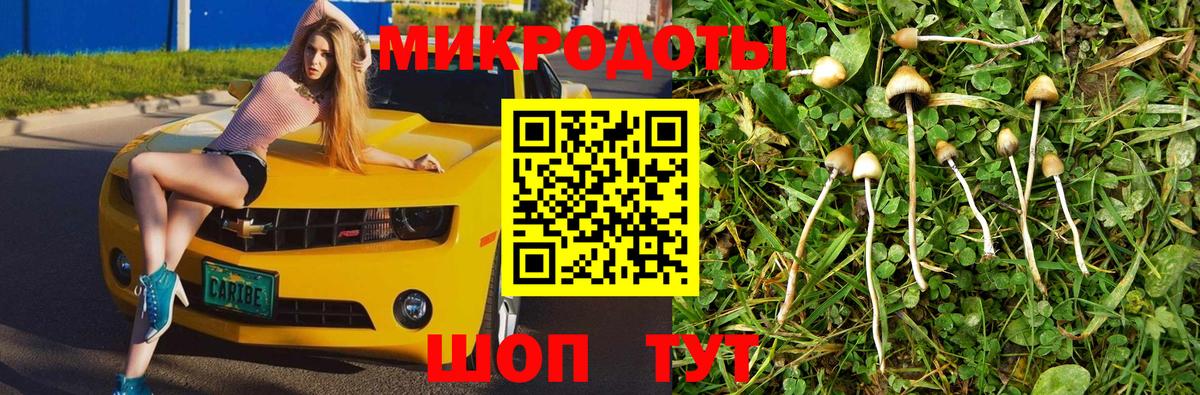 Кохма  Псилоцибиновые грибы Cubensis  Галлюциногенные грибы прущие грибы  Вход с VPN 